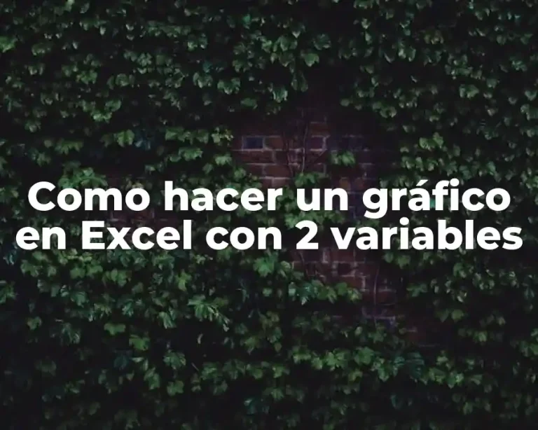 Como hacer un gráfico en Excel con 2 variables