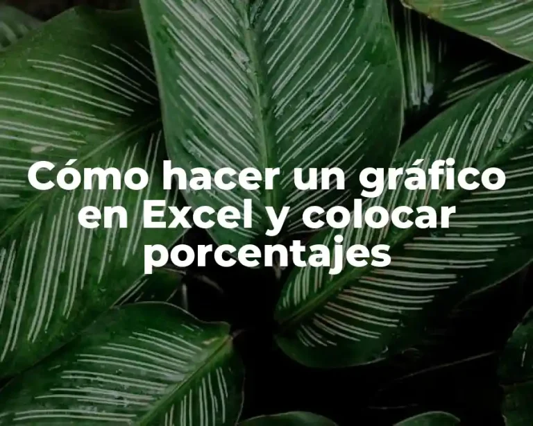 Cómo hacer un gráfico en Excel y colocar porcentajes