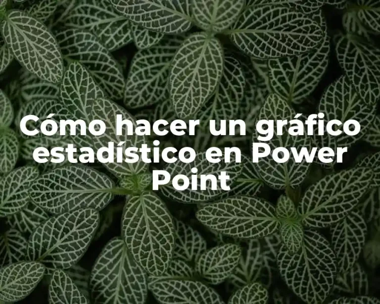 Cómo hacer un gráfico estadístico en Power Point
