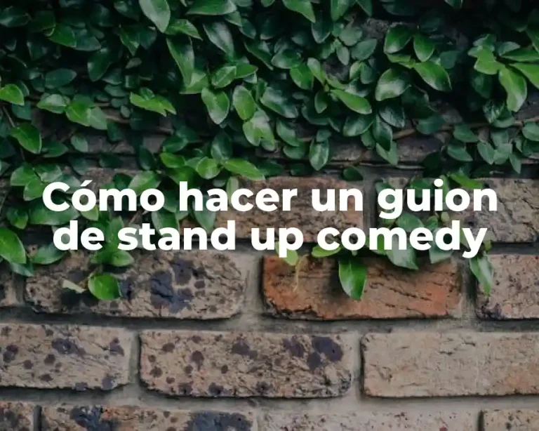 Cómo hacer un guion de stand up comedy
