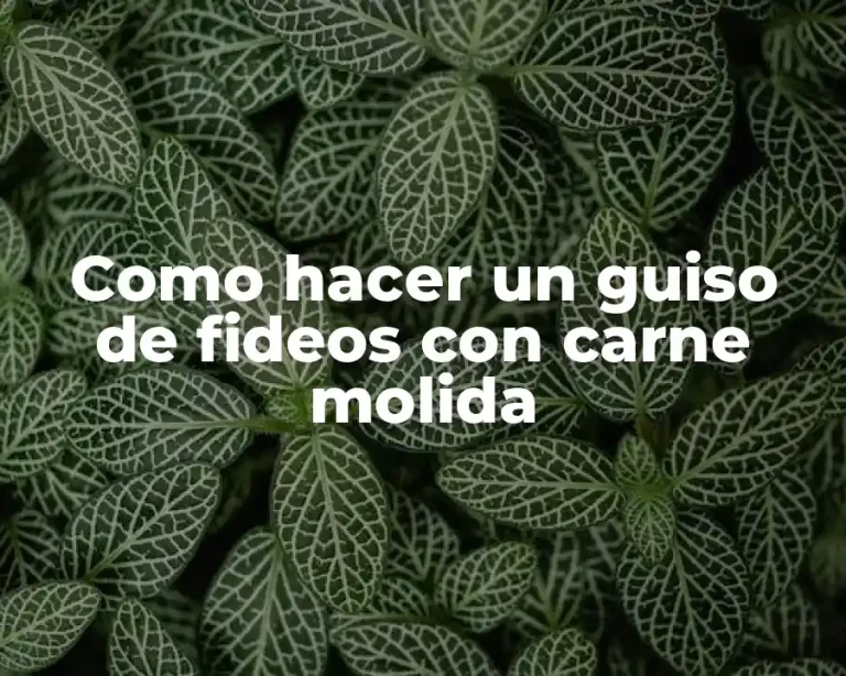 Como hacer un guiso de fideos con carne molida