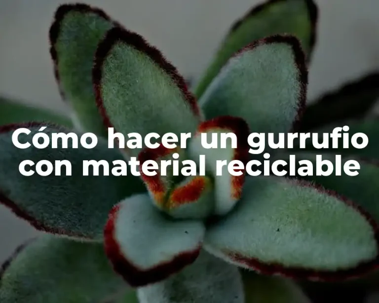 Cómo hacer un gurrufio con material reciclable