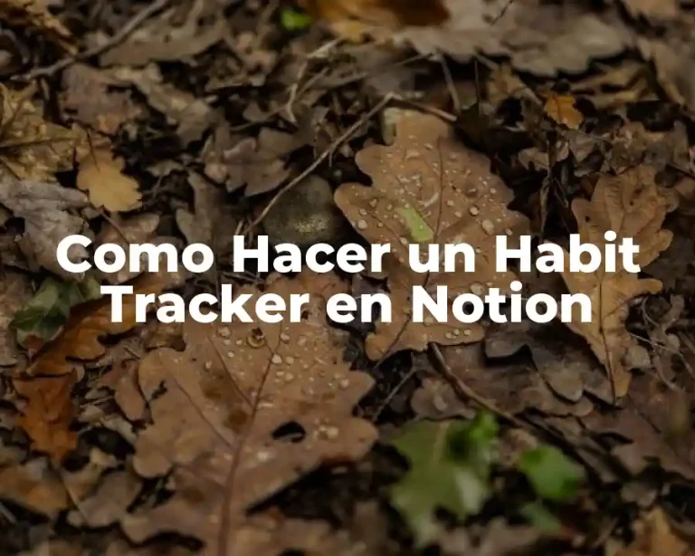 Como Hacer un Habit Tracker en Notion