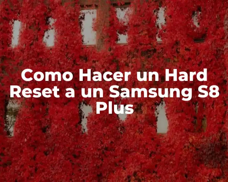 Como Hacer un Hard Reset a un Samsung S8 Plus