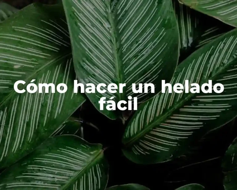 Cómo hacer un helado fácil