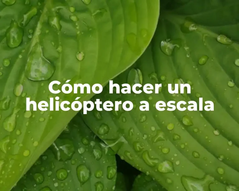 Cómo hacer un helicóptero a escala
