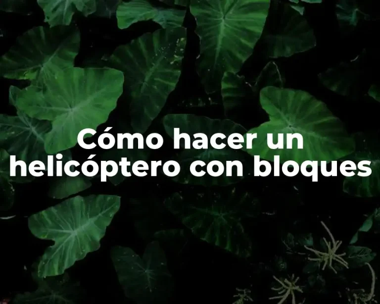 Cómo hacer un helicóptero con bloques