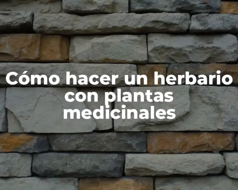 Cómo hacer un herbario con plantas medicinales