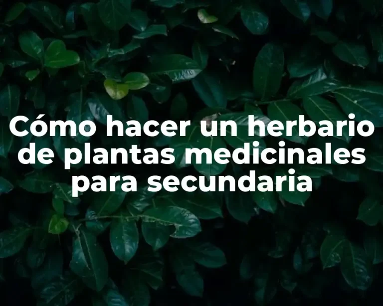Cómo hacer un herbario de plantas medicinales para secundaria