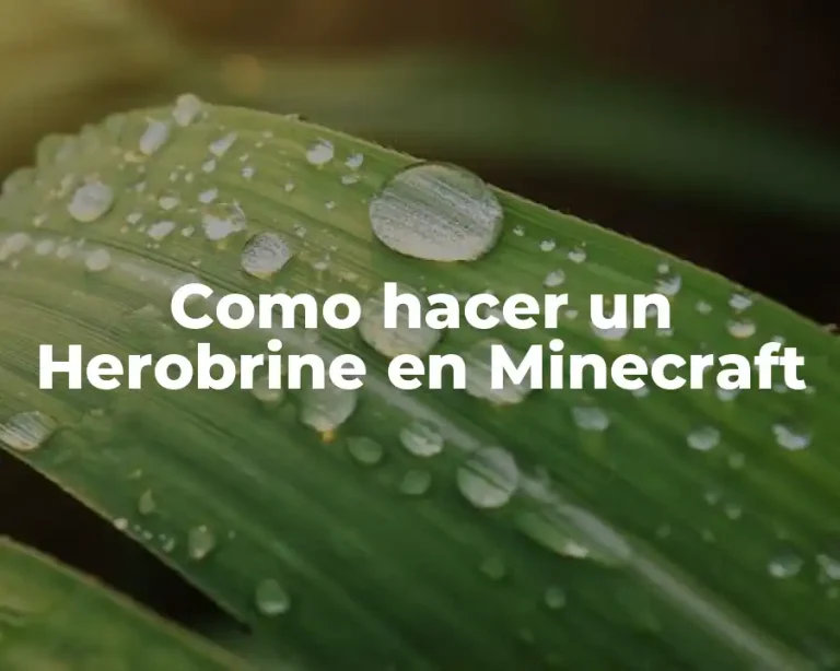 Como hacer un Herobrine en Minecraft