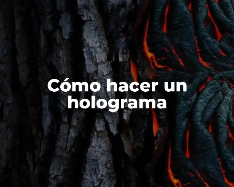 Cómo hacer un holograma