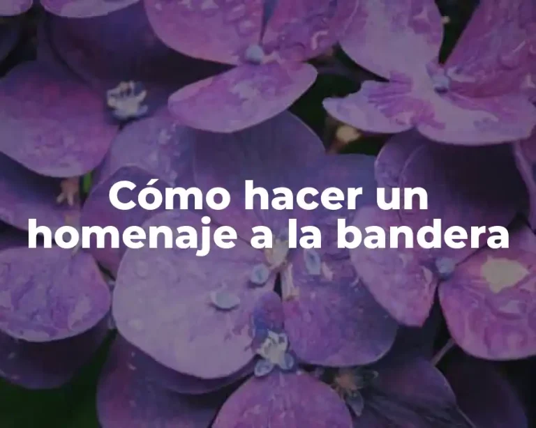 Cómo hacer un homenaje a la bandera