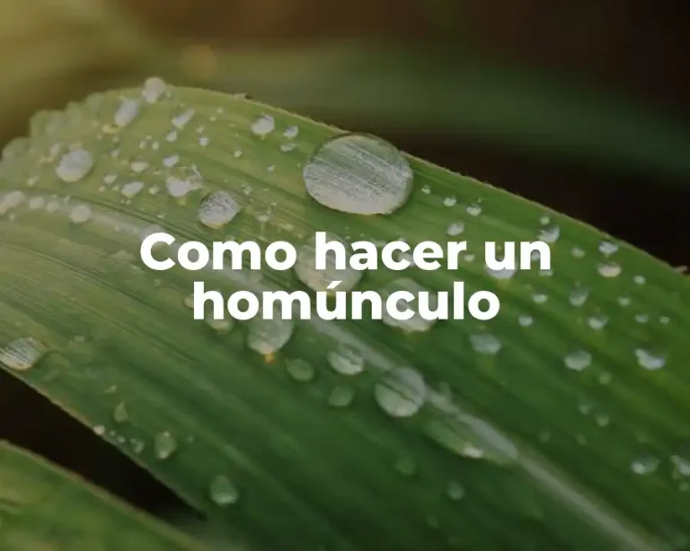 Como hacer un homúnculo