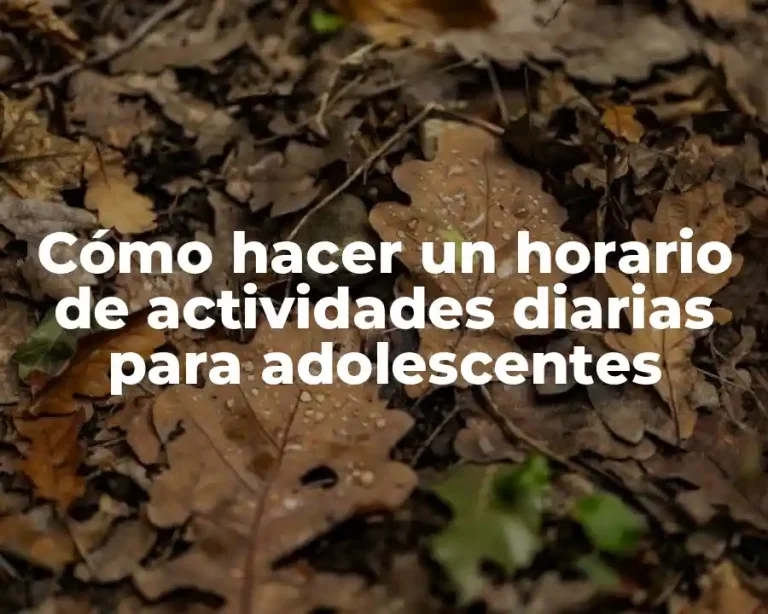 Cómo hacer un horario de actividades diarias para adolescentes