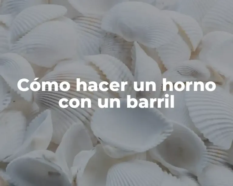 Cómo hacer un horno con un barril