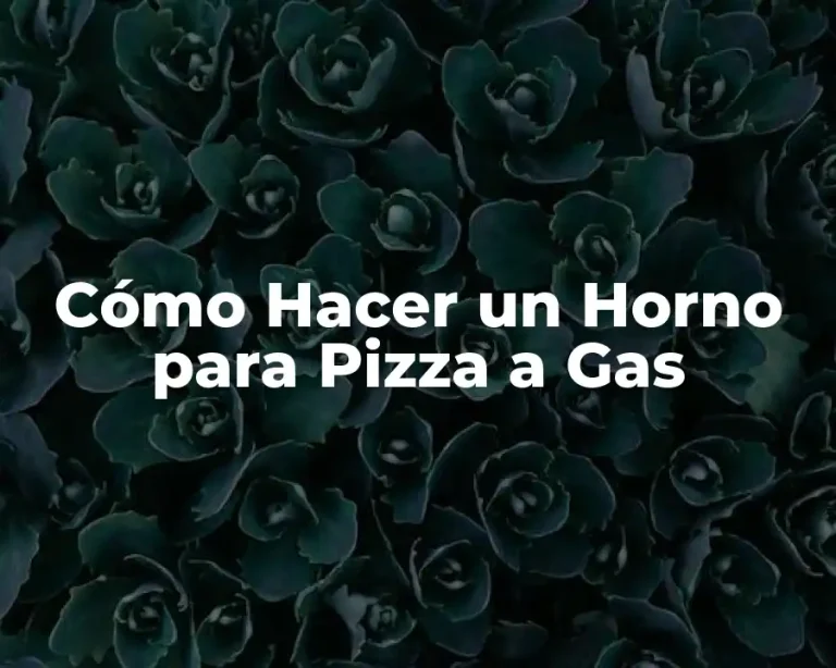 Cómo Hacer un Horno para Pizza a Gas