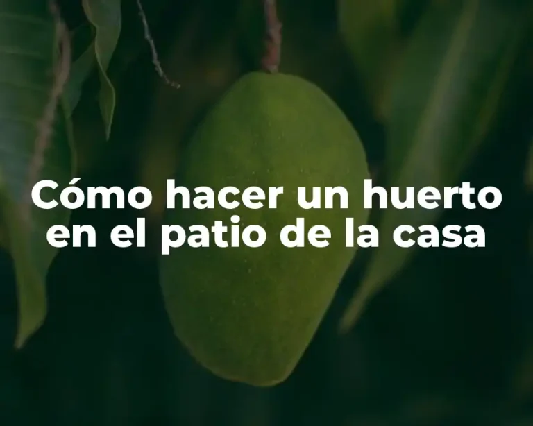 Cómo hacer un huerto en el patio de la casa