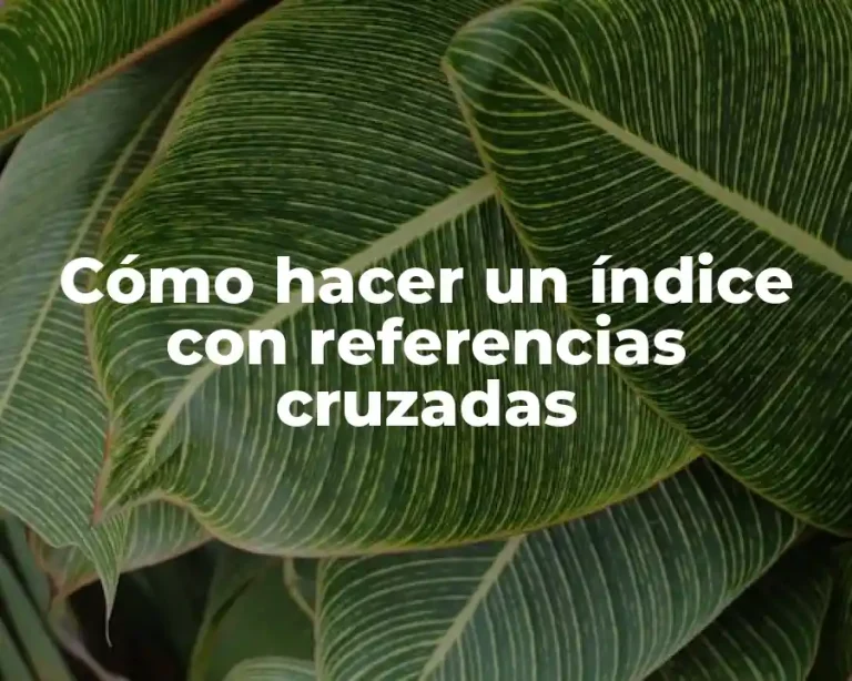 Cómo hacer un índice con referencias cruzadas