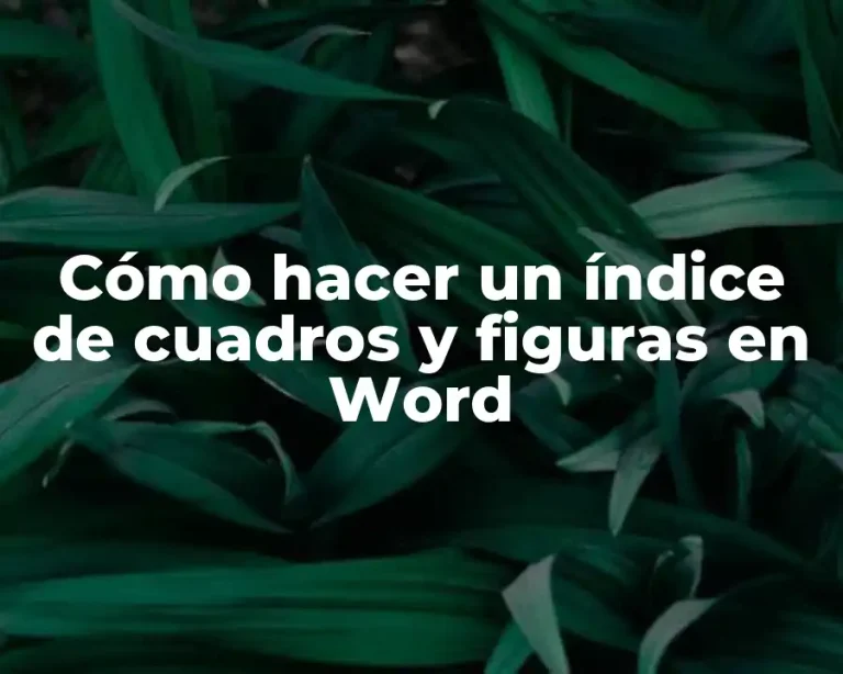 Cómo hacer un índice de cuadros y figuras en Word
