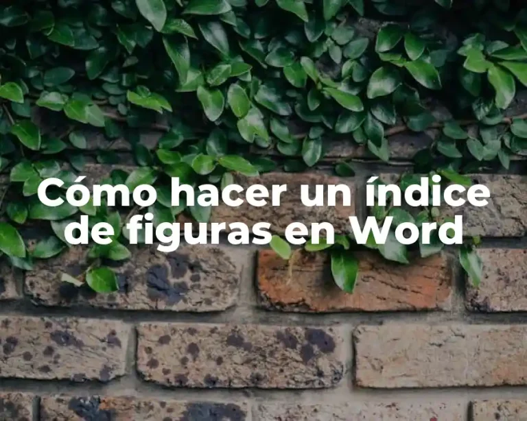 Cómo hacer un índice de figuras en Word