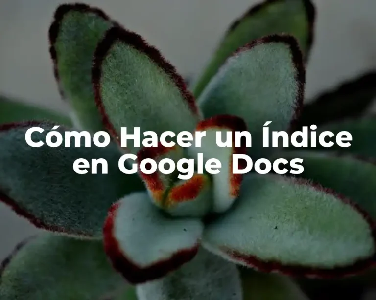 Cómo Hacer un Índice en Google Docs