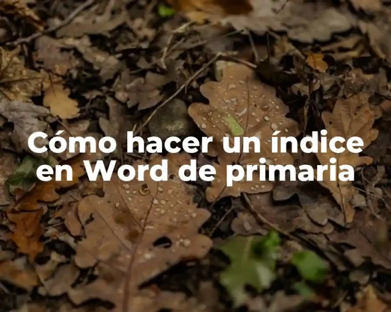 Cómo hacer un índice en Word de primaria