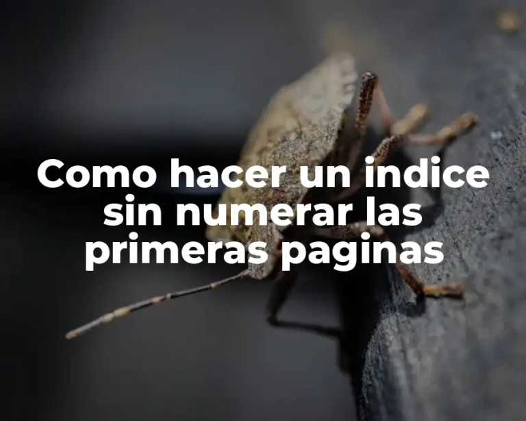 Como hacer un indice sin numerar las primeras paginas