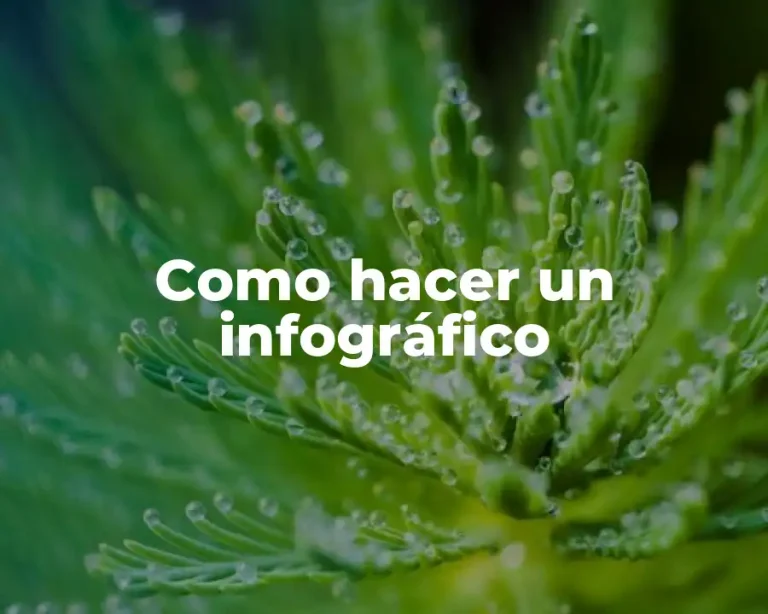 Como hacer un infográfico