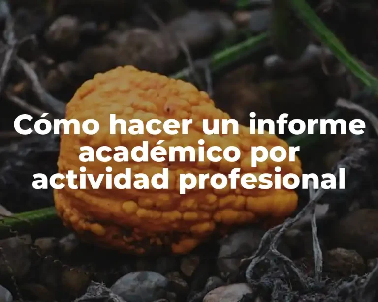 Cómo hacer un informe académico por actividad profesional