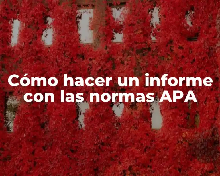 Cómo hacer un informe con las normas APA