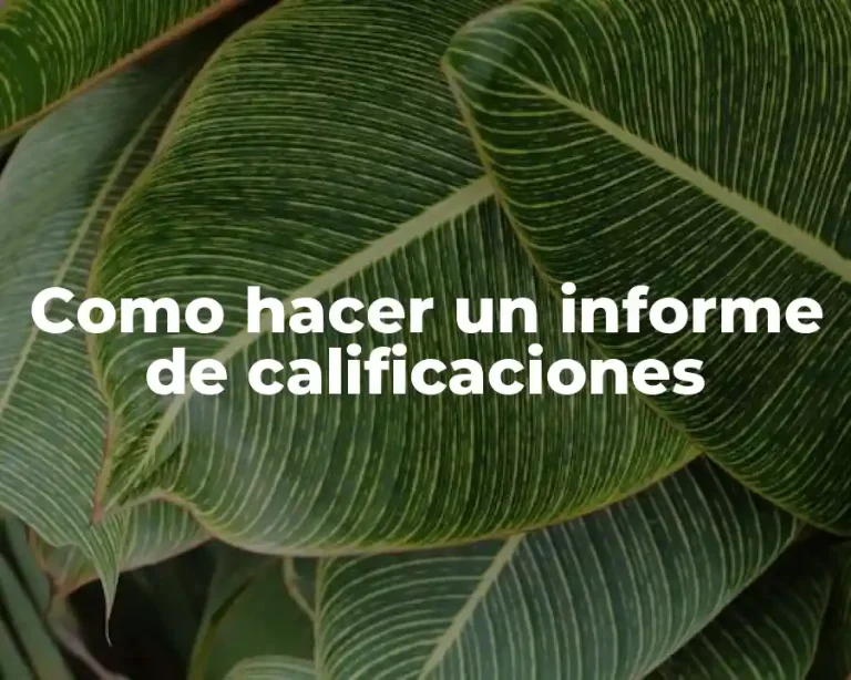 Como hacer un informe de calificaciones