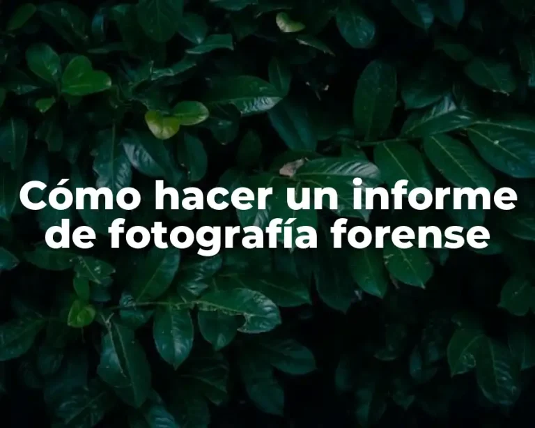 Cómo hacer un informe de fotografía forense