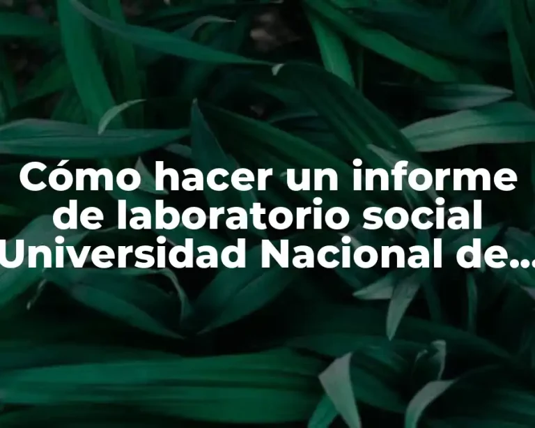 Cómo hacer un informe de laboratorio social Universidad Nacional de Panamá