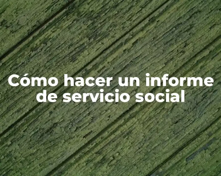 Cómo hacer un informe de servicio social