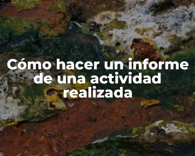 Cómo hacer un informe de una actividad realizada
