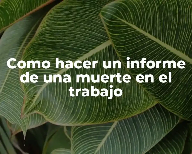 Como hacer un informe de una muerte en el trabajo