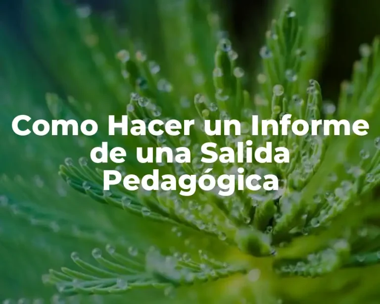 Como Hacer un Informe de una Salida Pedagógica