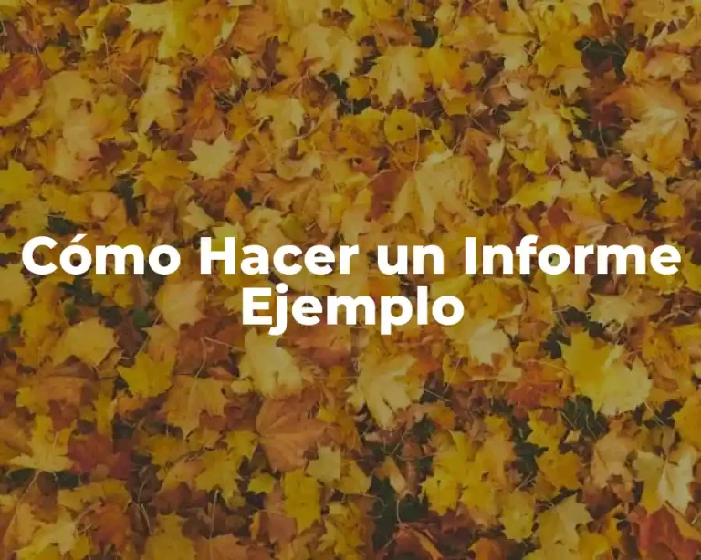 Cómo Hacer un Informe Ejemplo