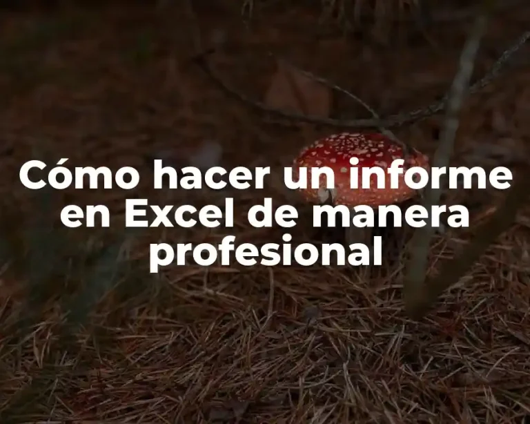 Cómo hacer un informe en Excel de manera profesional