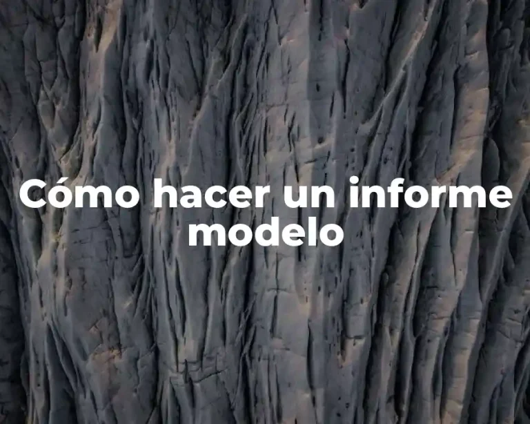 Cómo hacer un informe modelo