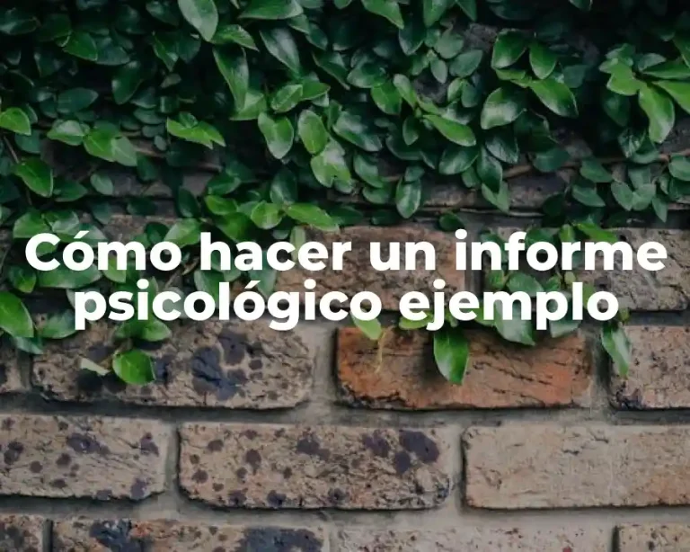 Cómo hacer un informe psicológico ejemplo