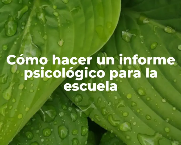 Cómo hacer un informe psicológico para la escuela