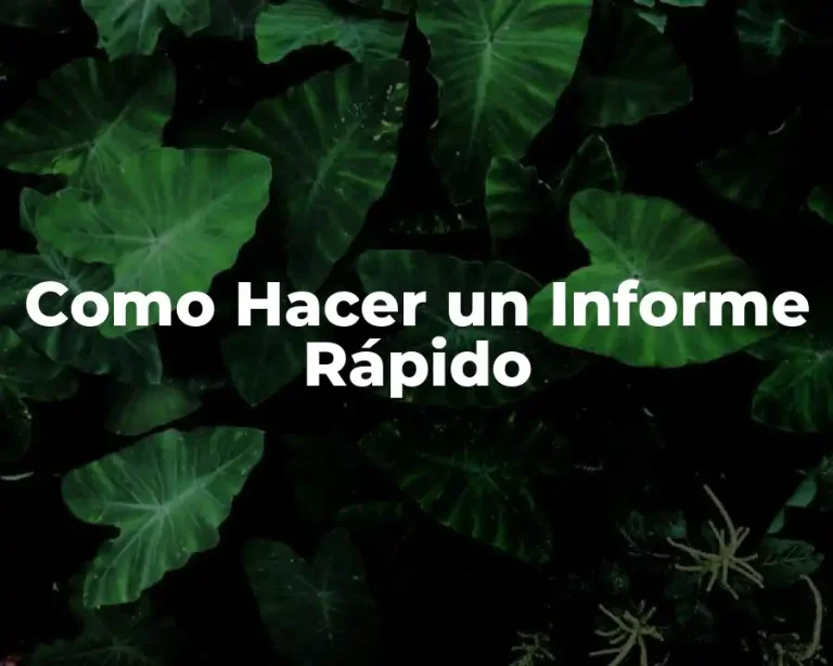 Como Hacer un Informe Rápido