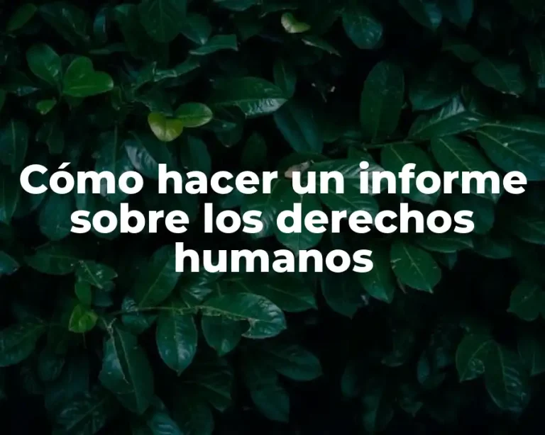 Cómo hacer un informe sobre los derechos humanos
