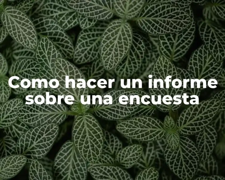 Como hacer un informe sobre una encuesta