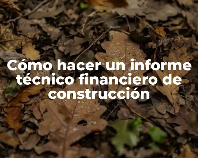 Cómo hacer un informe técnico financiero de construcción