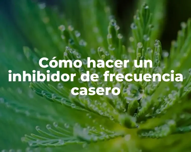 Cómo hacer un inhibidor de frecuencia casero