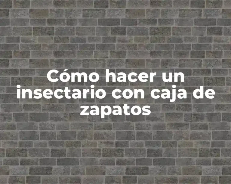 Cómo hacer un insectario con caja de zapatos