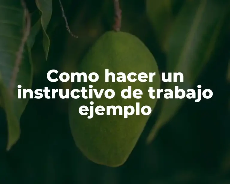 Como hacer un instructivo de trabajo ejemplo