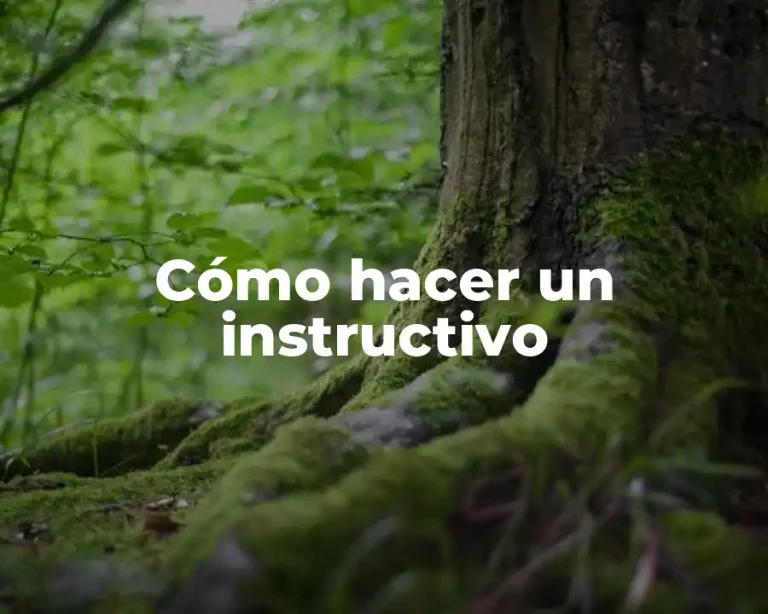 Cómo hacer un instructivo